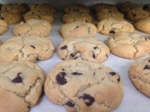 Chocolate chip cookies fresh out of the oven
